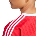 adidas Originals Adicolor T-Shirt M