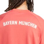 adidas Originals FC Bayern Adicolor Classics 3-Stripes