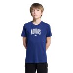 adidas Collegiate Graphic T-Shirt Kids