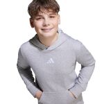 adidas Essentials Hoodie Jr