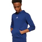 adidas Essentials Hoodie Jr