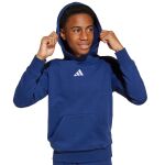 adidas Essentials Hoodie Jr