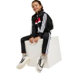 adidas Seasonal Essentials Tiberio 3-Stripes Tricot Track Suit Kids