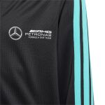 adidas Mercedes AMG Petronas Formula One Team DNA Full-Zip Hoodie Jr