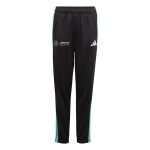 adidas Mercedes AMG Petronas Formula One Team DNA Joggers Jr