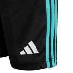 adidas Mercedes - AMG Petronas Formula One Team DNA Shorts Jr