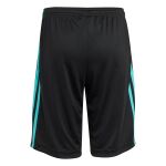 adidas Mercedes - AMG Petronas Formula One Team DNA Shorts Jr