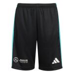 adidas Mercedes - AMG Petronas Formula One Team DNA Shorts Jr