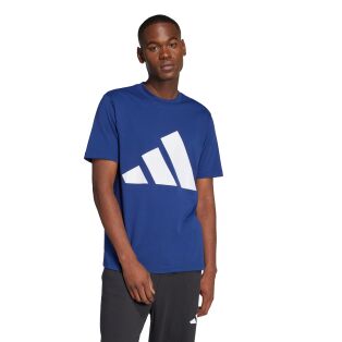 adidas Essentials Big Logo Tee M - t-paita