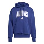 adidas Collegiate Hoodie