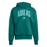 adidas Collegiate Hoodie