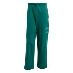 adidas Collegiate Pant