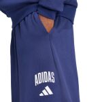 adidas Collegiate Pant