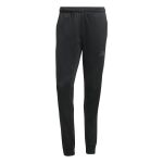 adidas Train Essentials Seasonal Pant