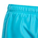 adidas Swim Shorts Jr
