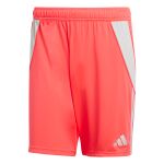 adidas TIRO24 Shorts M