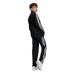 adidas Originals Firebird Pants