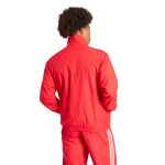 adidas Originals Adicolor Woven Firebird