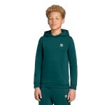 adidas Originals Trefoil Hoodie Jr