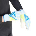 adidas Predator Goalkeeper Glove Competition