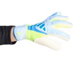 adidas Predator Goalkeeper Glove Competition