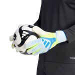 adidas Predator Goalkeeper Glove Competition