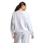 adidas Seasonal Essentials Colorpop Sweatshirt with Embroidered Graphic W