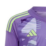 adidas Tiro 24 Competition Long Sleeve Goalkeeper Jersey Jr
