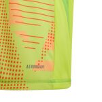 adidas Tiro 24 Competition Long Sleeve Goalkeeper Jersey Jr