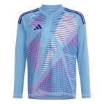adidas Tiro 24 Competition Long Sleeve Goalkeeper Jersey Jr