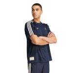 adidas Originals Juventus Terrace Icons Jersey