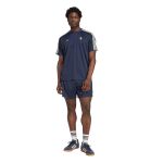 adidas Originals Juventus Terrace Icons Shorts