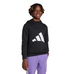 adidas Essentials Hoodie Jr