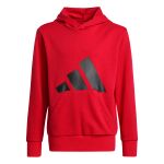 adidas Essentials Hoodie Jr