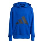 adidas Essentials Hoodie Jr