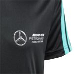 adidas Mercedes - AMG Petronas Formula One Team DNA T-Shirt Jr