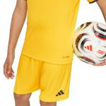 adidas Entrada26 Jersey Jr