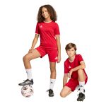 adidas Entrada26 Shorts Jr