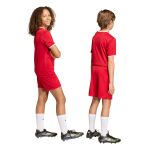 adidas Entrada26 Shorts Jr