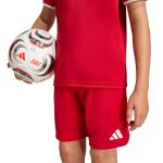adidas Entrada26 Shorts Jr