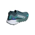 adidas Terrex Agravic GTX Trail