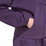 adidas Future Icons Small Logo Full-Zip Hoodie W