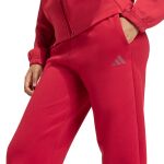 adidas Future Icons Small Logo Pants W