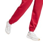 adidas Future Icons Small Logo Pants W