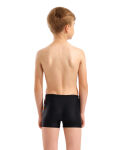 Arena B Arena Lit Logo Swim Short