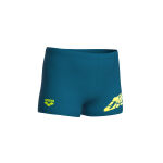 Arena Lettering Swim Short B