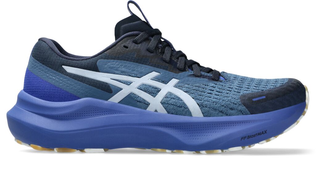 ASICS GT-2000 14 LITE-SHOW W