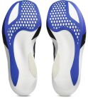 ASICS Metaspeed Sky Tokyo