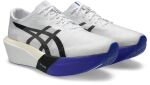 ASICS Metaspeed Sky Tokyo