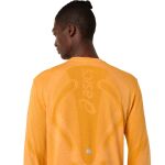ASICS Road Seamless Longs Sleeve Top